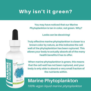 Marine Phytoplankton (Tincture) - Essential Ocean Nutrition